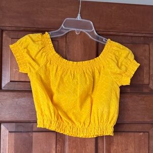 Embroidered Cotton Crop Top